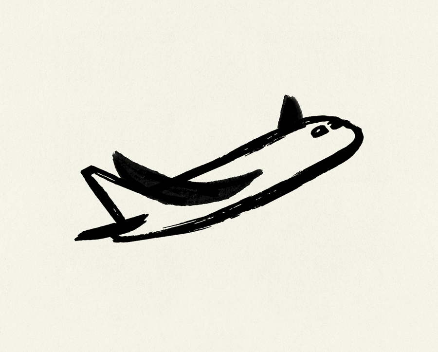 Partnering With Flapping Airplanes