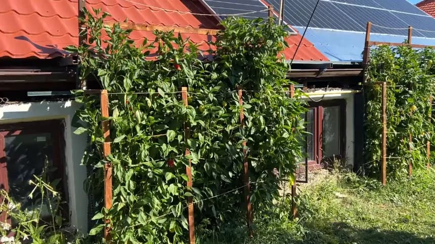 Gardening With…OpenSCAD?